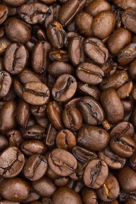 Boogie Beans Drop #2 - KENYA